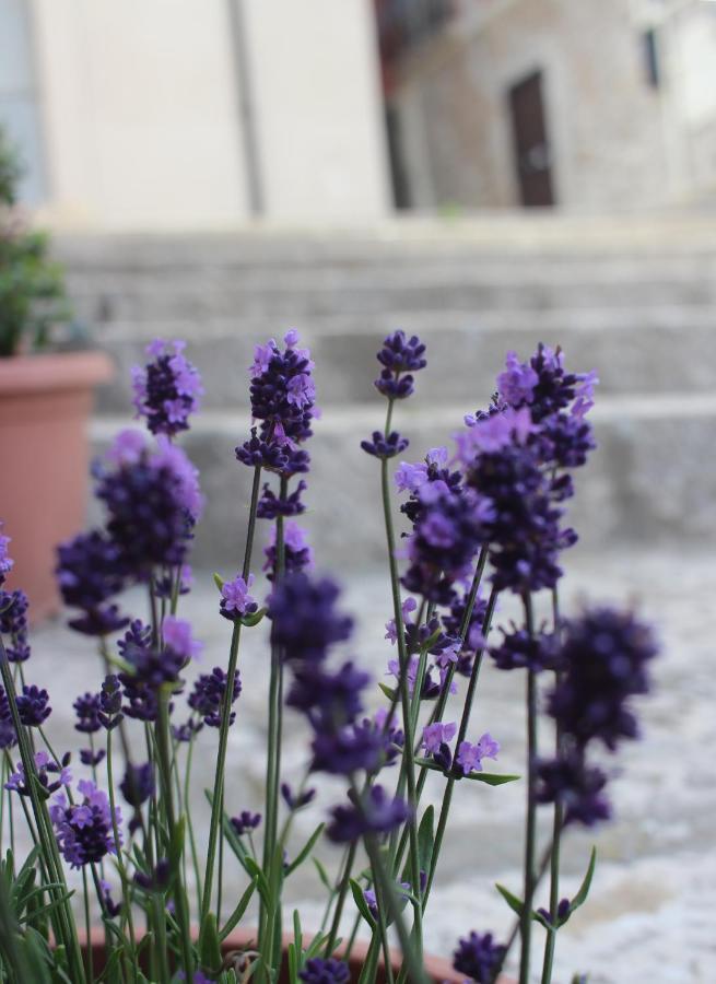 B&B Al Gravattone Venosa Ngoại thất bức ảnh